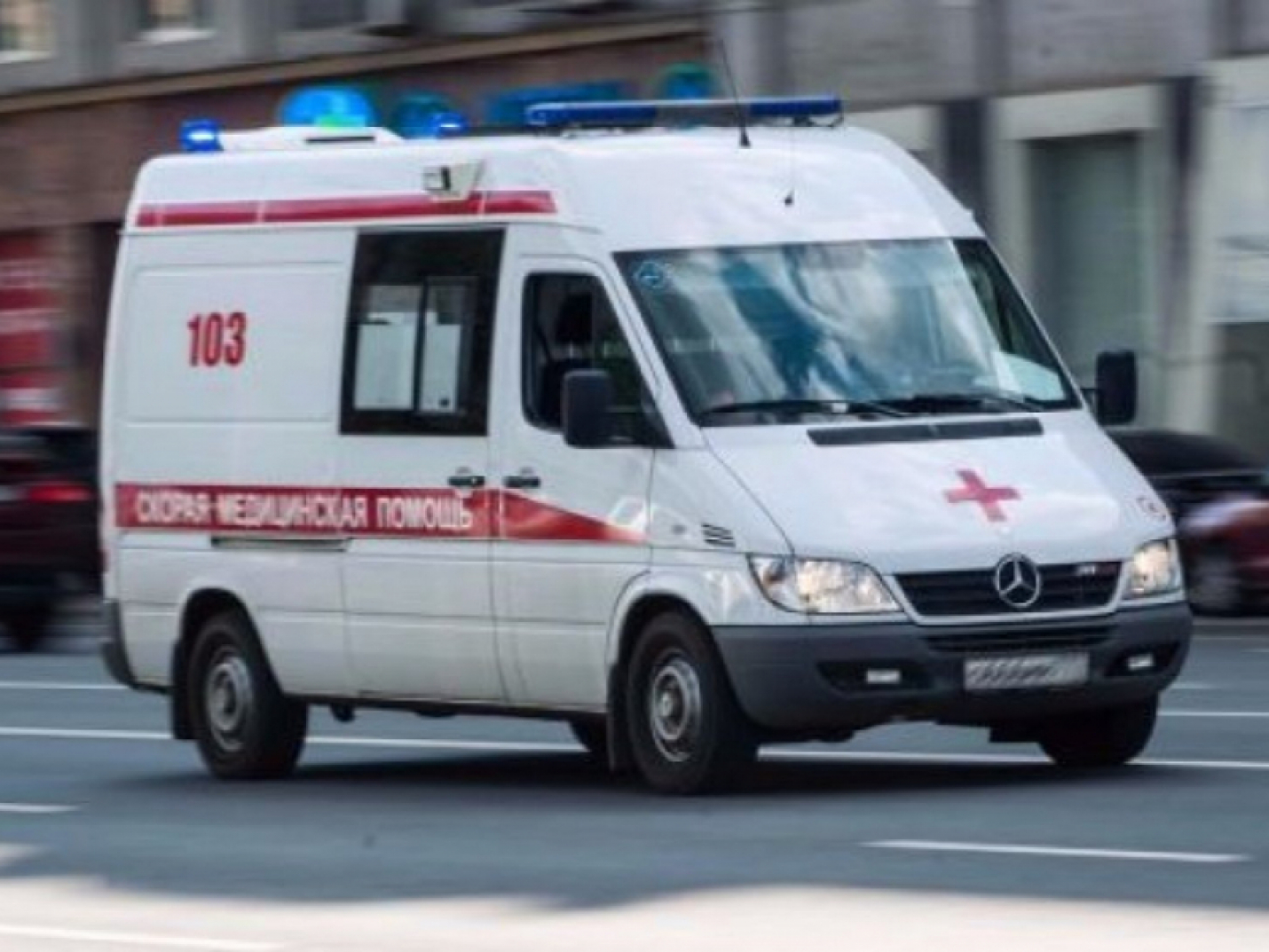Ребенок погиб от укусов собак у заводчиков в Подмосковье