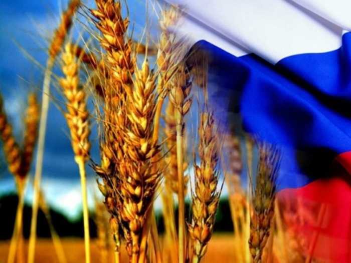 Россия может стать европейским лидером по экспорту зерна