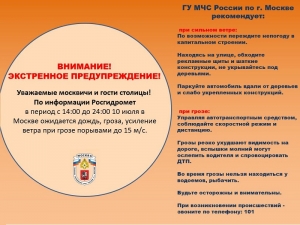 МЧС предупредило москвичей о грозе и сильном ветре 10 июля
