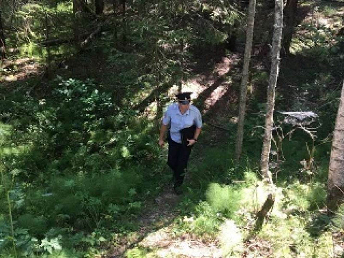 Мужчину нашли мертвым в лесу за площадью Юности