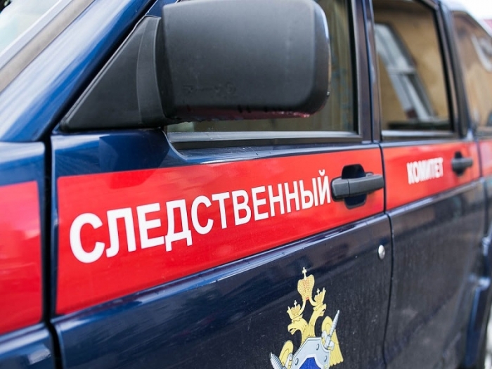 Девятилетнюю девочку нашли мертвой в Нижегородской области