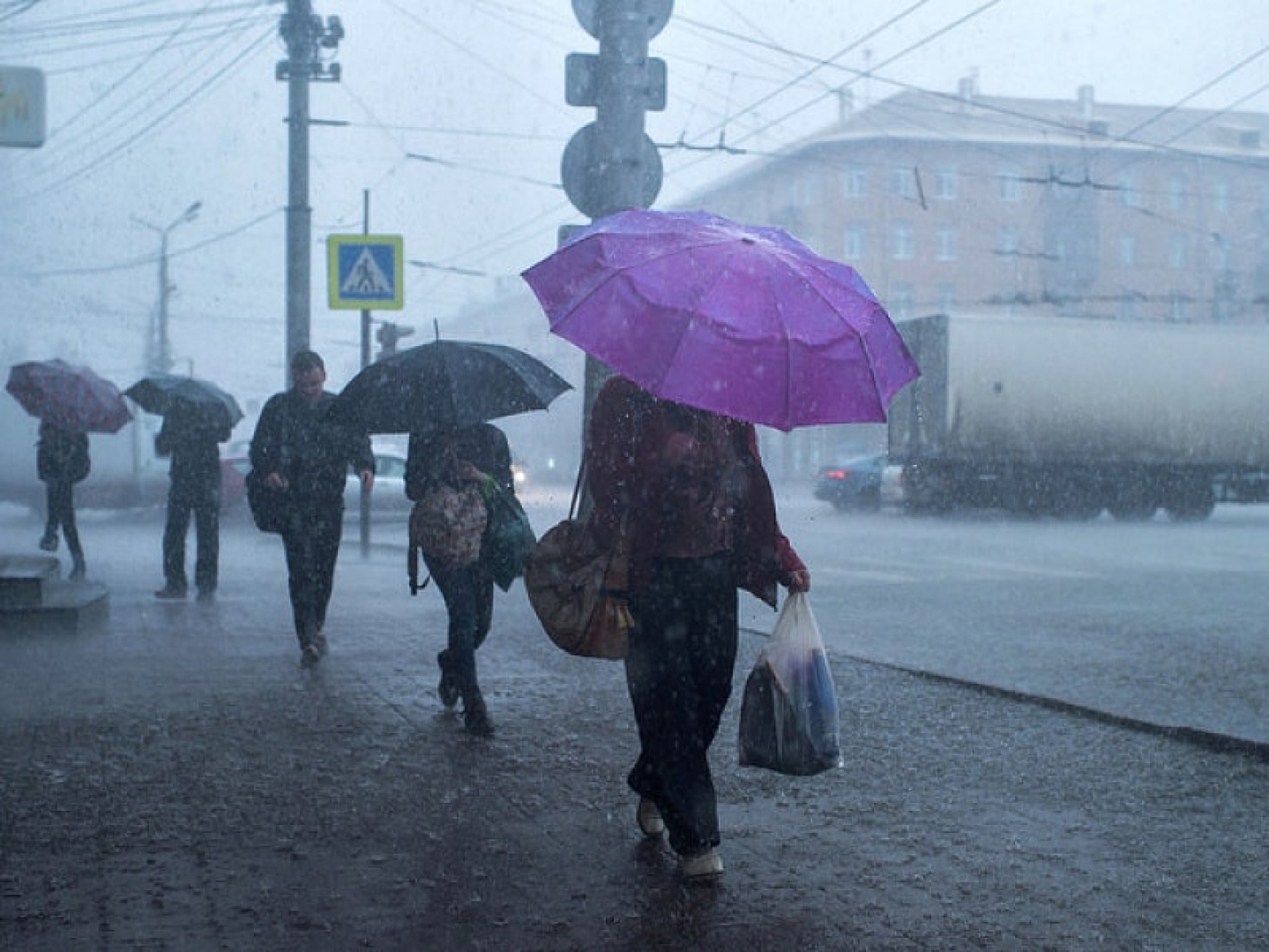 МЧС предупредило жителей Подмосковья о дожде и сильном ветре