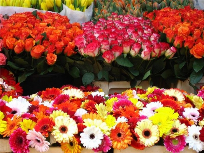 Продавцы предупредили о рекордном подорожании цветов в РФ