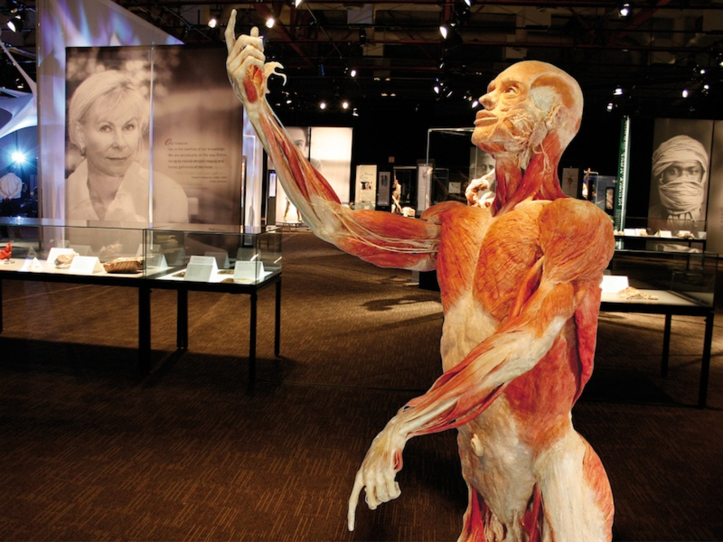 На ВДНХ открылась скандальная выставка Body Worlds