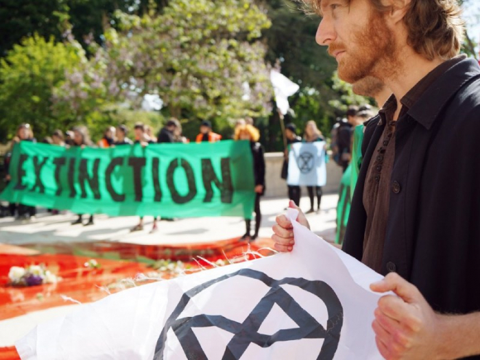 За год в мире было убито 227 активистов экологических организаций