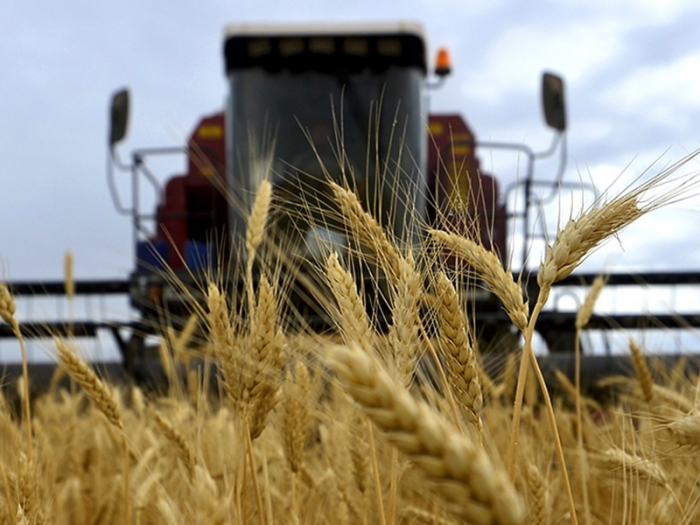 В США испугались запрета на экспорт зерна из России